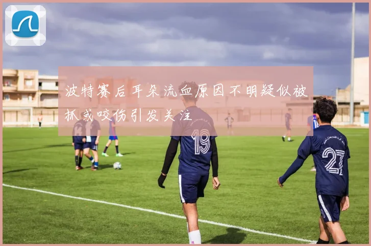 波特赛后耳朵流血原因不明疑似被抓或咬伤引发关注