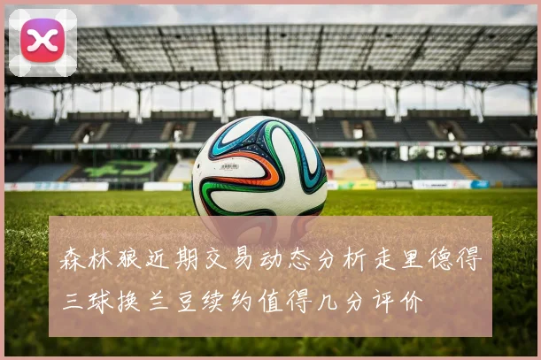 森林狼近期交易动态分析走里德得三球换兰豆续约值得几分评价
