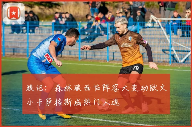 狼记：森林狼面临阵容大变动欧文小卡萨格斯成热门人选