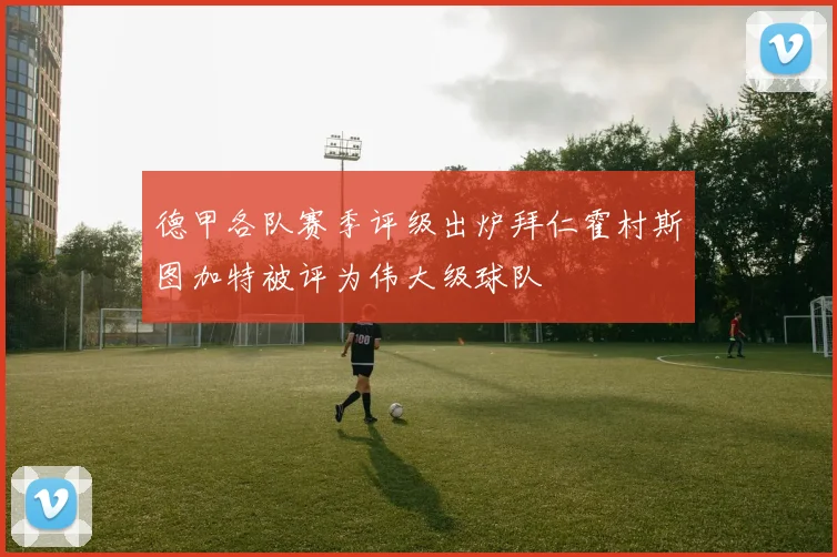 德甲各队赛季评级出炉拜仁霍村斯图加特被评为伟大级球队